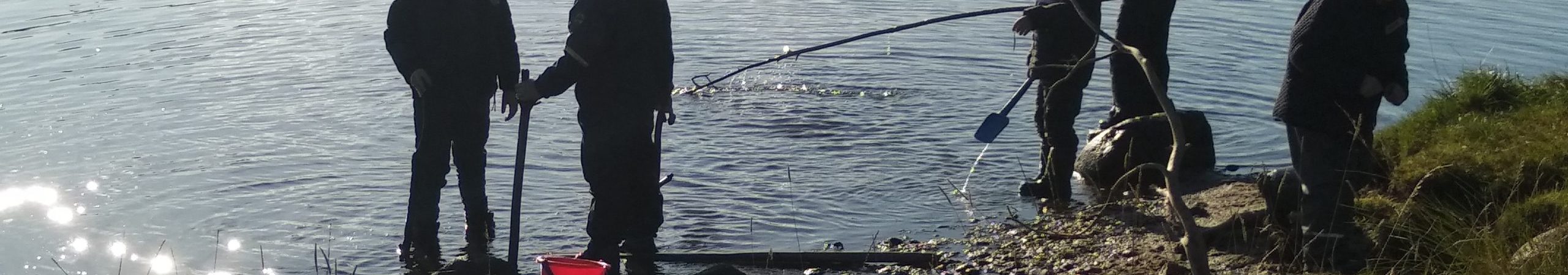 InsideOut Nature (11)_CROP