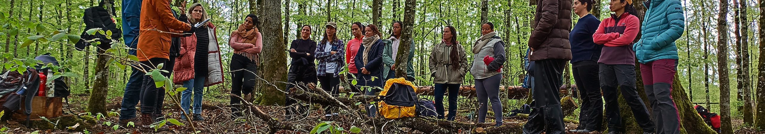 final_InsideOut Nature (15)