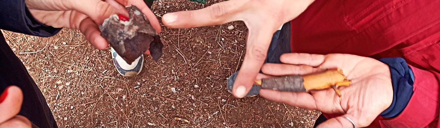 final_InsideOut Nature (16)