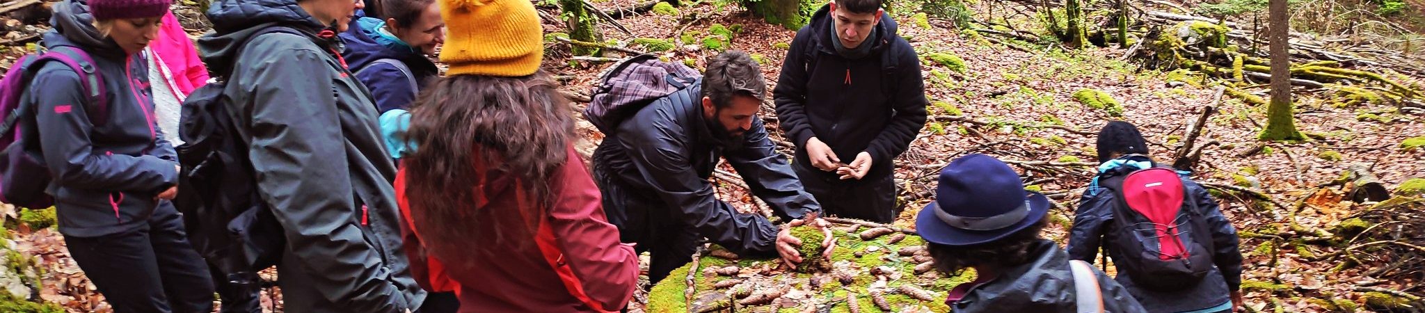 final_InsideOut Nature (17)