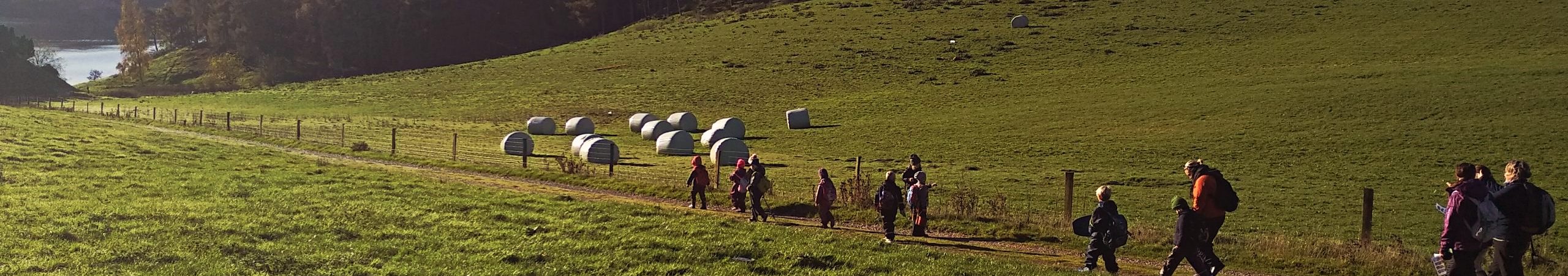 final_InsideOut Nature (20)