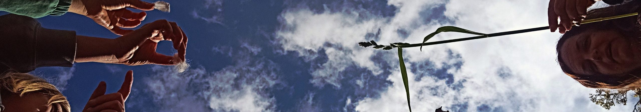 final_InsideOut Nature (7)