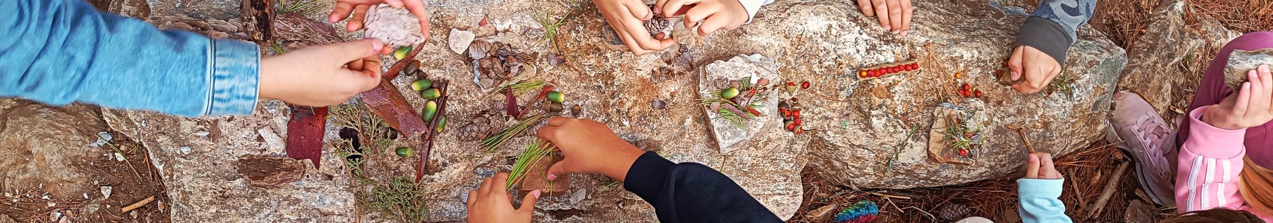 final_InsideOut Nature (8)